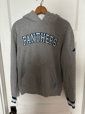 NFL Panthers Gray Pullover Hoodie with Blue Trim